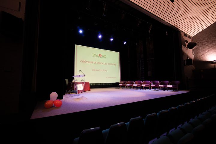 Corporate reportage